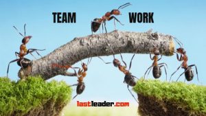 team-building-teamwork