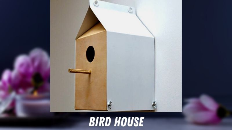 bird house 